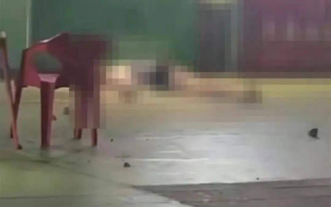 27层往下扔水管！禁止高空抛物！ky开元棋牌【曝光台】图省事从(图3)